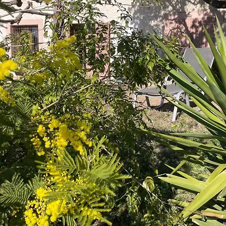 Large Private Garden, Quiet 2-bedroom Apartment, Air Conditioning, Wifi, Parking Cassis
